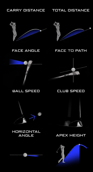 16 points of ball & Club data